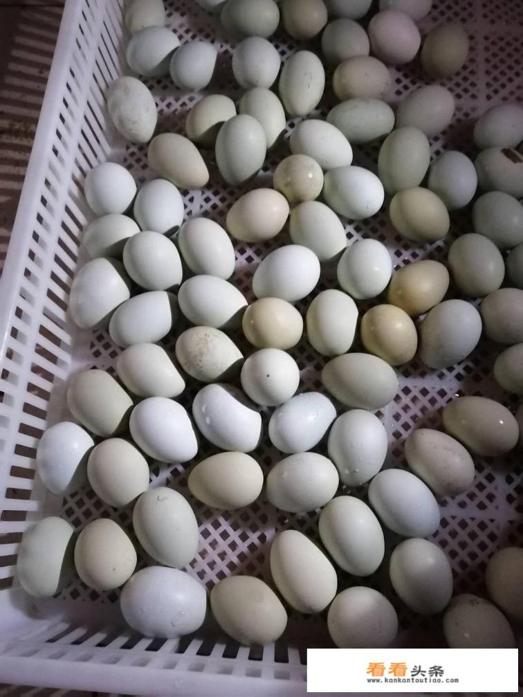 鸡蛋重回3元时代，这轮涨价能持续多久