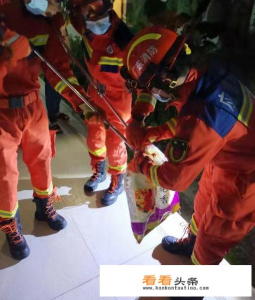 眼镜王蛇与王蛇，同样都对蛇毒免疫。谁更厉害