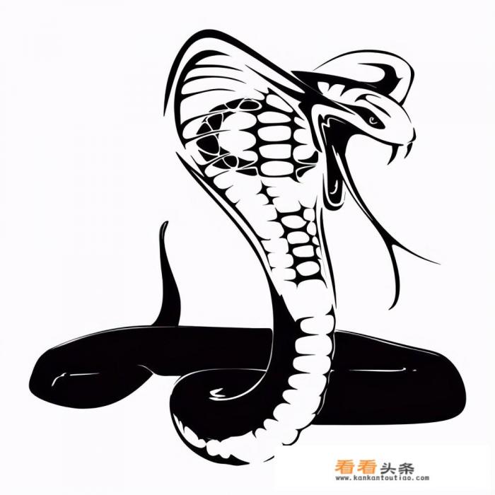 眼镜王蛇与王蛇，同样都对蛇毒免疫。谁更厉害