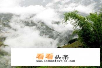 云南凤庆的铁核桃好吗