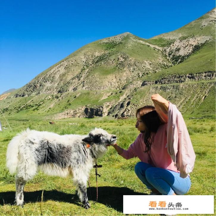 来大美青海旅游，必去景点前五是哪些