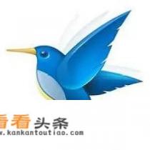 下载视频用什么软件