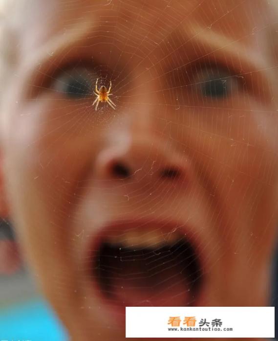 最近在网上看了很恐怖的东西，一直缓不过来，在自己家都很焦虑很害怕，该怎么办