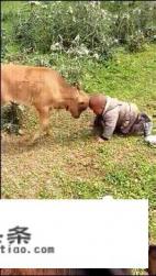 最近在网上看了很恐怖的东西，一直缓不过来，在自己家都很焦虑很害怕，该怎么办