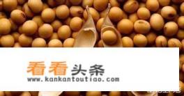 2019年大豆价格总行情如何？大豆价格还会上涨吗