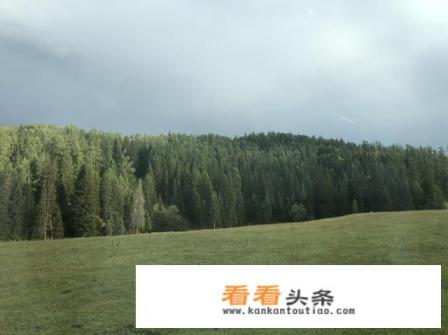 去新疆旅游参加哪个旅游团好