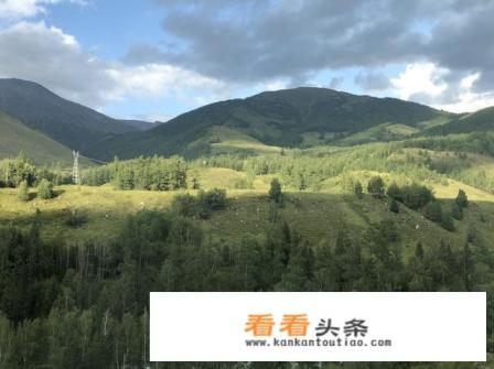 去新疆旅游参加哪个旅游团好