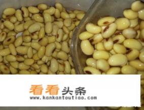 煮黄豆的家常做法 煮黄豆的家常做法