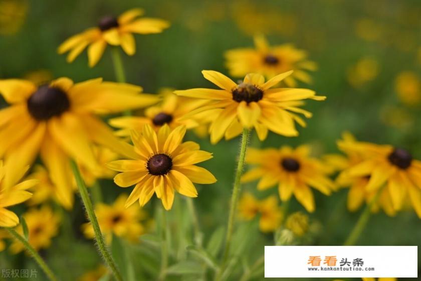 有可以用来做微商的好用软件吗 有可以用来做微商的好用软件吗