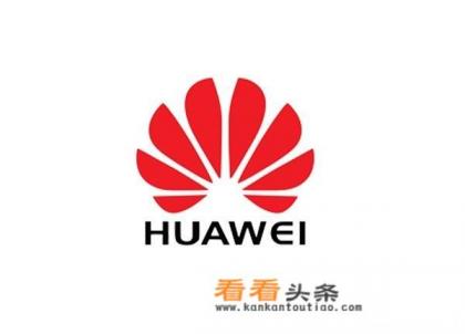 你认为：任正非创造华为，马云创造淘宝，哪个对国家贡献大