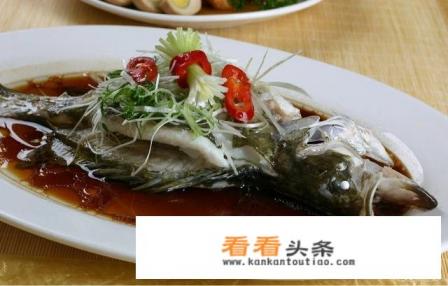 鲈鱼与桂鱼哪个好吃