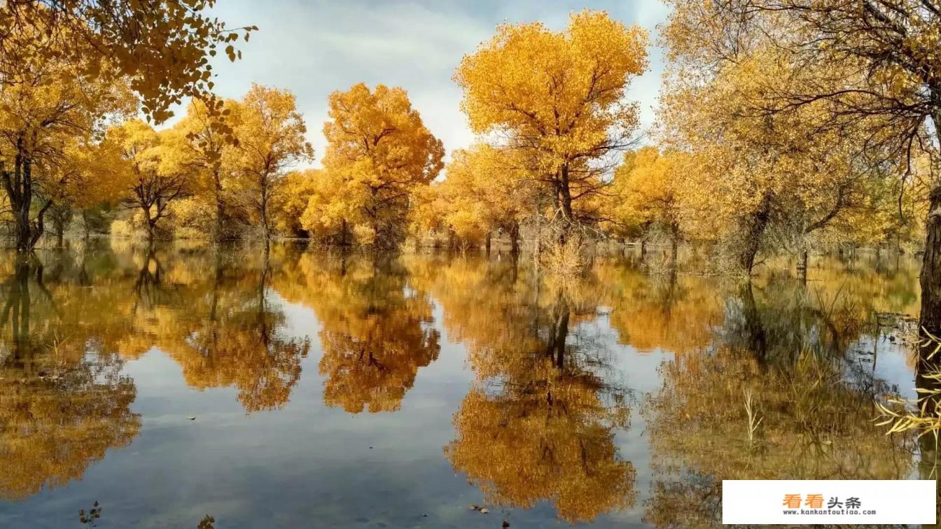 两个人去大西北旅游,是自驾游好还是跟团好 两个人去大西北旅游,是自驾游好还是跟团好