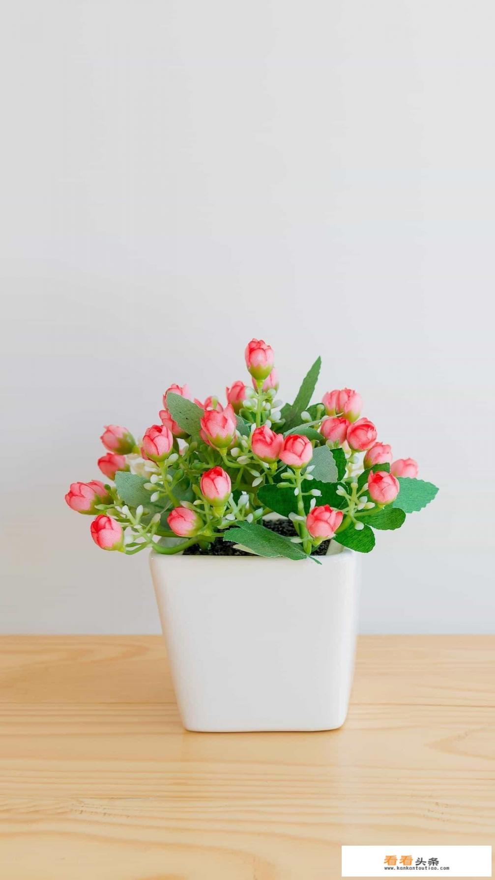 卤鸡腿是先炸还是先卤