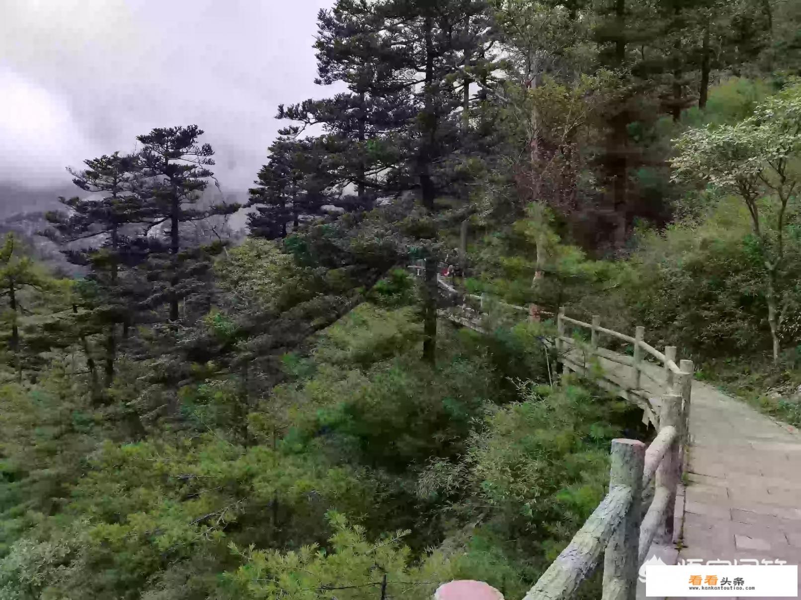 你会梦到出去旅行吗 你会梦到出去旅行吗