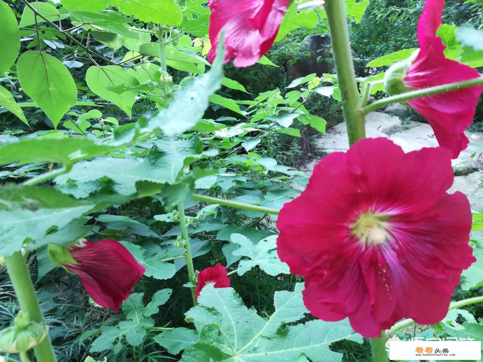 你会梦到出去旅行吗 你会梦到出去旅行吗