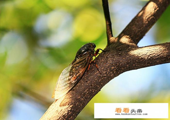 我的男友要带我出去旅游,住在一起行吗 我的男友要带我出去旅游,住在一起行吗