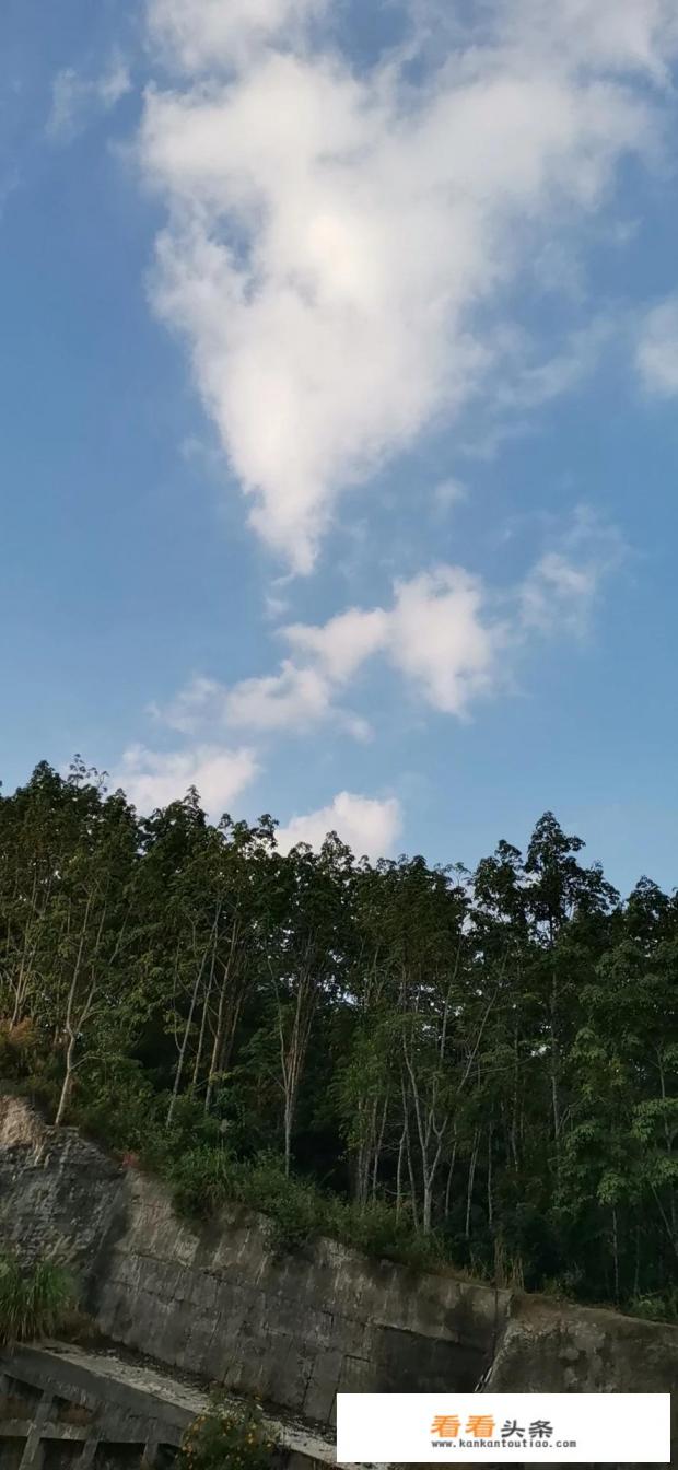 脑梗患者有哪些家常菜要禁忌 脑梗患者有哪些家常菜要禁忌