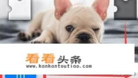  *** 密码忘了怎么办,怎么找回 *** 密码