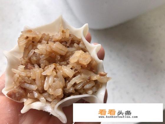 烧麦包法教程 烧麦包法教程