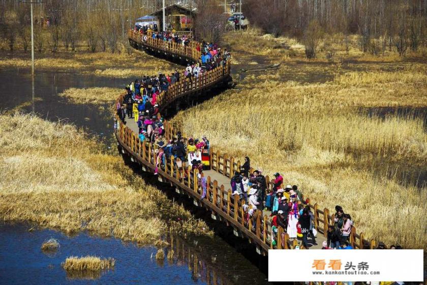 从荣县出发自驾车到云南旅游，有什么景点推荐