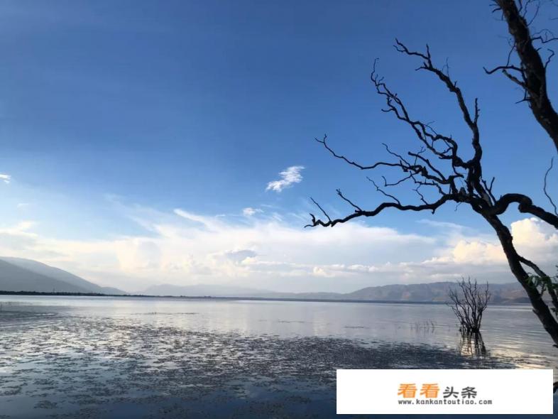 从成都出发去云南旅游10日，想去泸沽湖、大理、丽江、双廊和洱海天龙八部影视城等景点，有什么好的路线值得分享