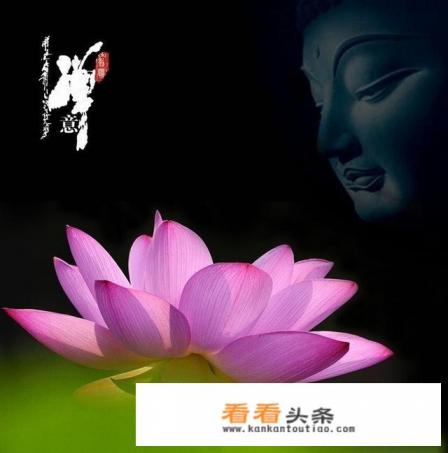 前世孽缘未了今生什么纠缠