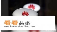 华为是中国独资企业吗