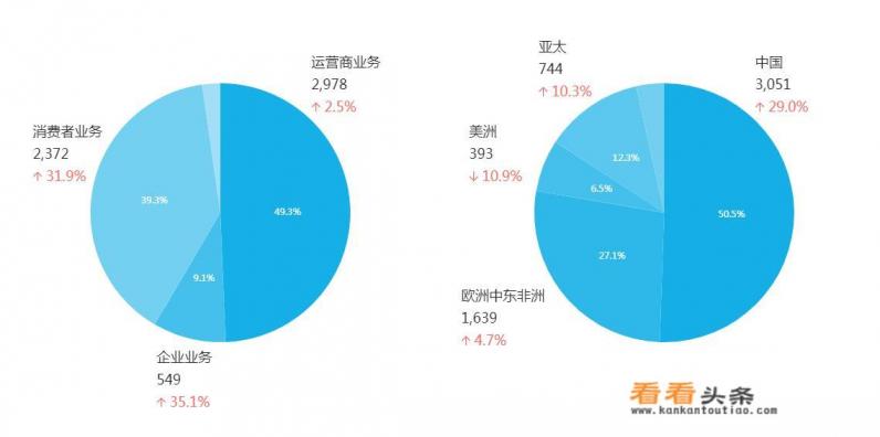 华为是中国独资企业吗