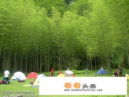 夏季去哪里旅游最好 夏季去哪里旅游最好