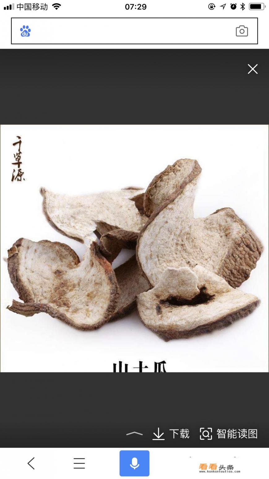 中药山土瓜还有什么别名 中药山土瓜还有什么别名