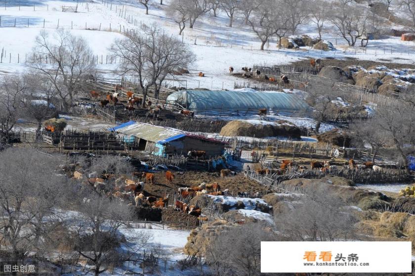 十月下旬适合去塞罕坝旅游吗