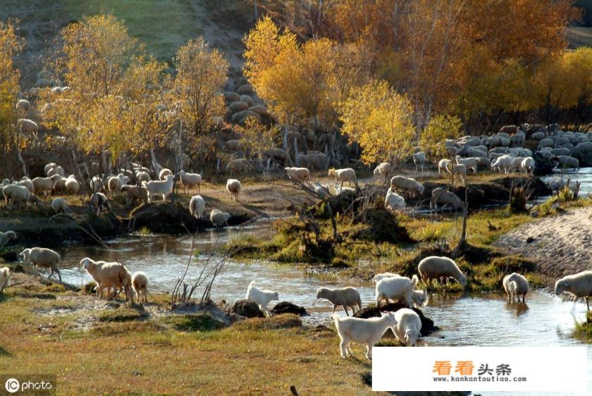 十月下旬适合去塞罕坝旅游吗