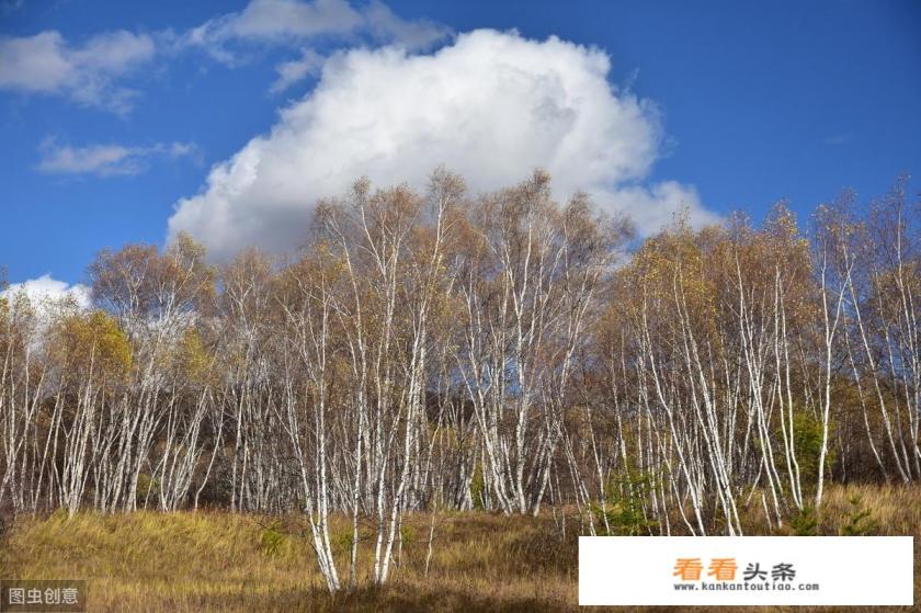 十月下旬适合去塞罕坝旅游吗