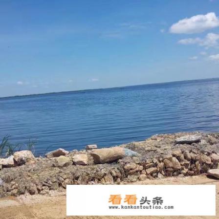 各国的旅游签证陆续开始预约办理了，你准备这时出国游玩吗