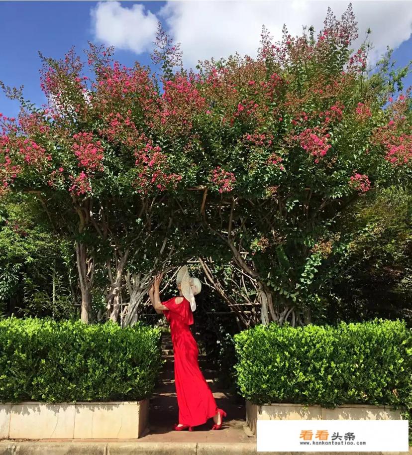 11月份准备去云南旅游,需要带些什么东西 11月份准备去云南旅游,需要带些什么东西