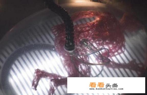 口袋妖怪究极绿宝石4催眠术技能盘怎么获得