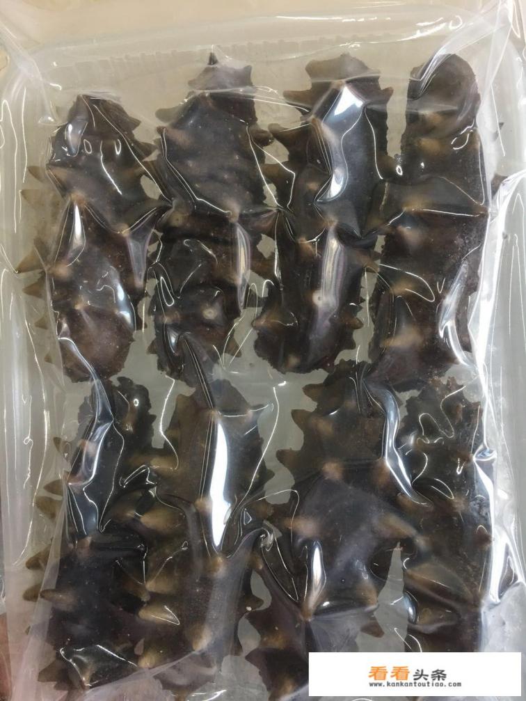 即食海参和干海参哪个好 即食海参和干海参哪个好