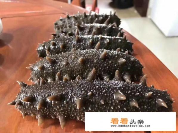 即食海参和干海参哪个好 即食海参和干海参哪个好