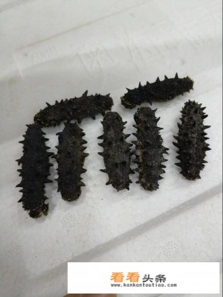 即食海参和干海参哪个好 即食海参和干海参哪个好