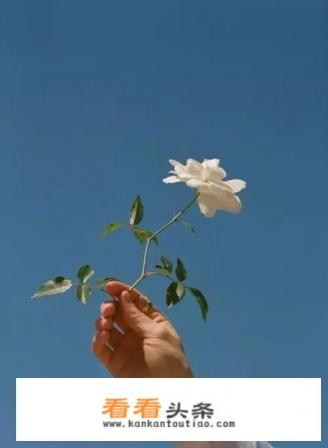 一个女孩喜欢你但不爱你说明什么