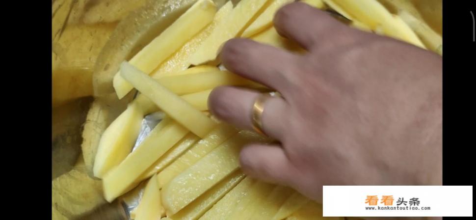 适合炸薯条的红薯品种