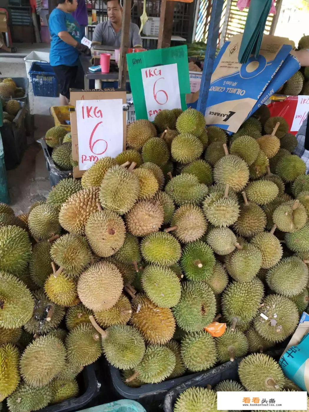 去新马纯玩团除团费换多少外币六日游比较好