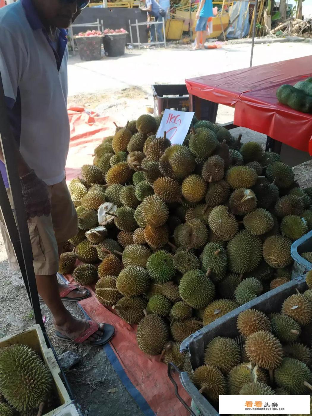 去新马纯玩团除团费换多少外币六日游比较好