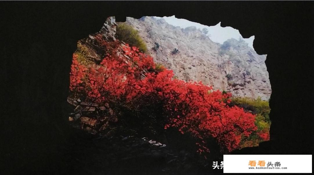 秋天观赏红叶的最佳去处 秋天观赏红叶的最佳去处