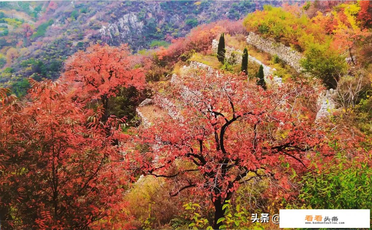 秋天观赏红叶的最佳去处 秋天观赏红叶的最佳去处