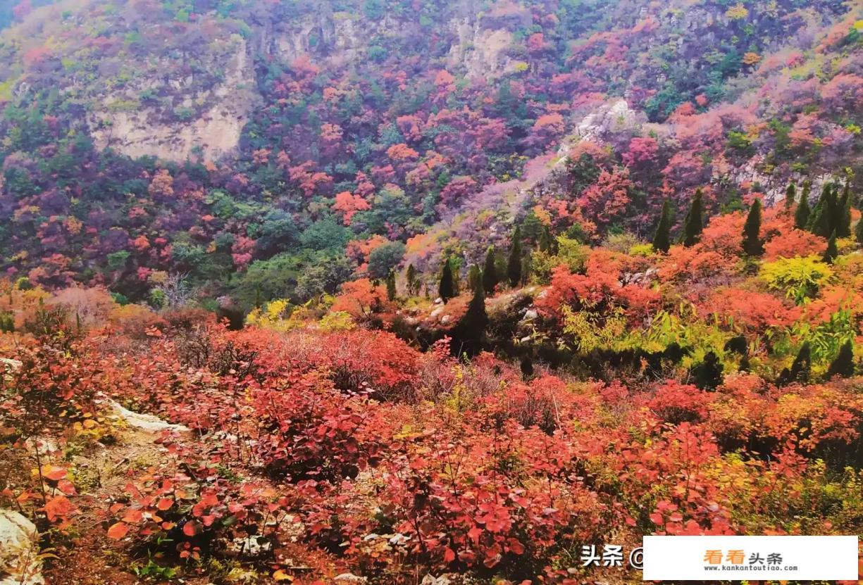 秋天观赏红叶的最佳去处 秋天观赏红叶的最佳去处