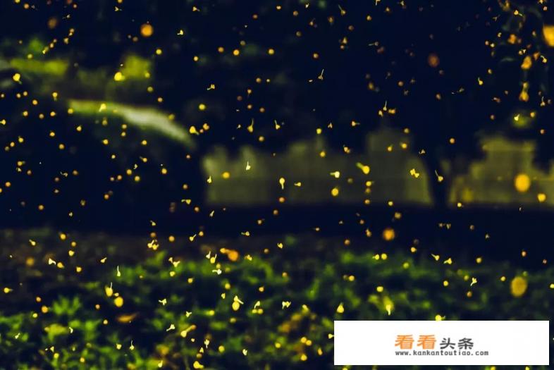 你喜欢用哪款处理照片的软件呢 你喜欢用哪款处理照片的软件呢