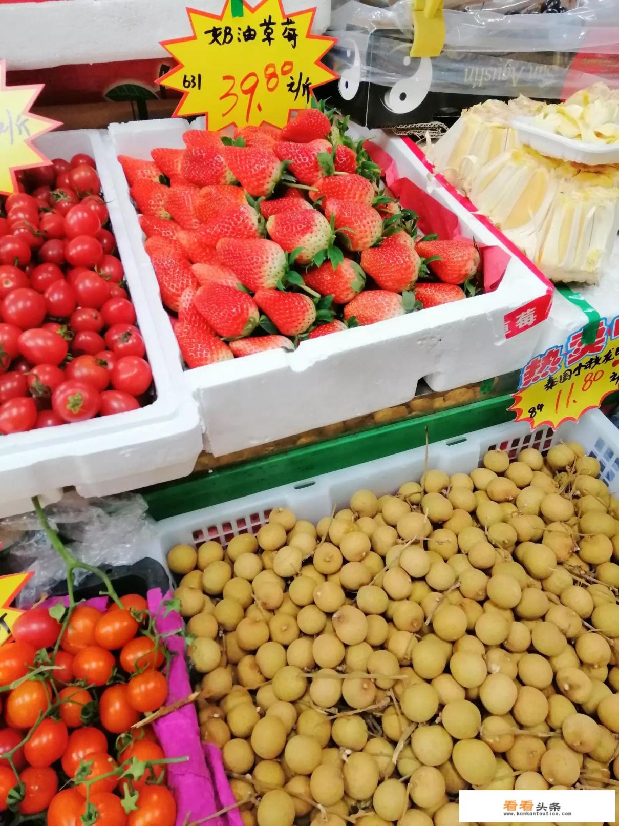 红颜草莓和奶油草莓是一个品种吗