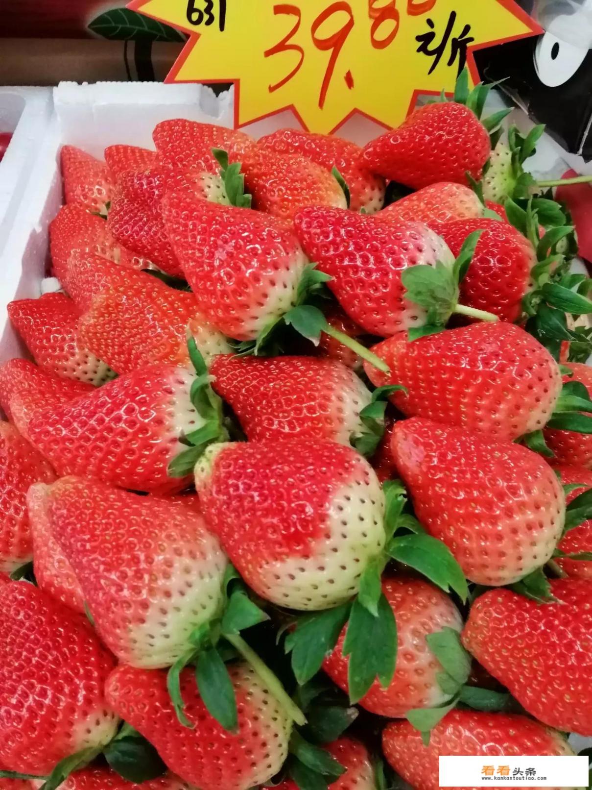 红颜草莓和奶油草莓是一个品种吗