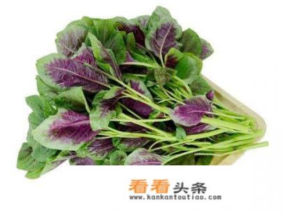 韭菜高血压可以吃吗，韭菜能降低高血压是真的吗